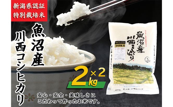 魚沼産川西こしひかり2kg×2