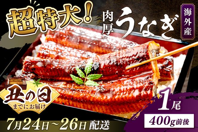 【7月24～26日配送】超特大！ふっくら肉厚！うなぎ蒲焼 1尾 400g前後 ふるさと納税 鰻 外国産 ウナギ 肉厚 蒲焼 鰻の蒲焼 有頭 蒲焼き　YK00402_01