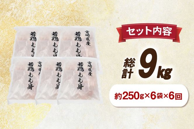 鶏肉 6回 定期便 もも 切身 IQF 250g 6袋 1.5kg 計9kg [南九フーズ 宮崎県 日向市 452061721] もも肉 冷凍 国産 カット 小分け ふるさと納税 鶏 とり肉 鳥肉 鶏もも 鶏もも肉 モモ 真空包装 個包装 お弁当 急速冷凍 バラ凍結 時短 カット済 定期 宮崎 宮崎県産 夕飯