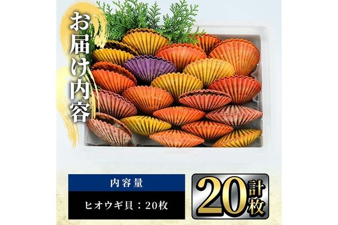 ヒオウギ貝 (20枚) 魚介 貝 ヒオウギ貝 ひおうぎ貝 酒蒸し 網焼き バター焼き バーベキュー 獲れたて 冷蔵 海の直売所 大分県 佐伯市【AS118】【海べ (株)】