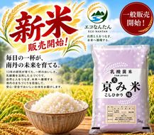 コシヒカリ 令和8年産 京都南丹産 乳酸菌活用栽培米 「京み米」 5kg こしひかり 無洗米 令和8年 5キロ 新米 お米 精米 新米26