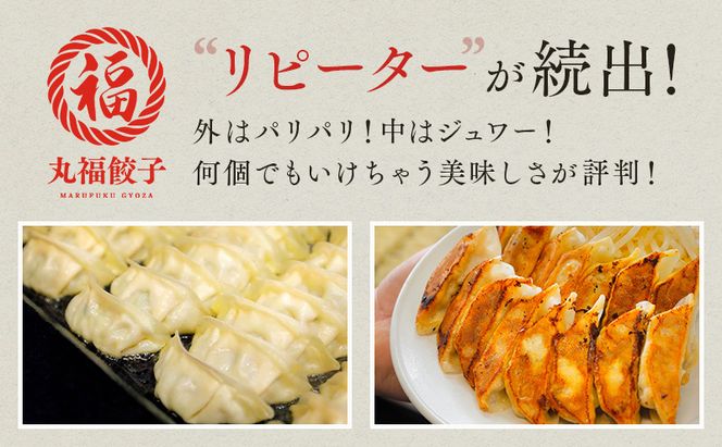丸福餃子　4種詰め合わせ 夕飯 晩御飯 惣菜 つまみ おかず お酒のお供 冷凍餃子 冷凍 冷凍惣菜 