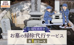 お墓の掃除代行サービス 年1回コース IKTAA001 