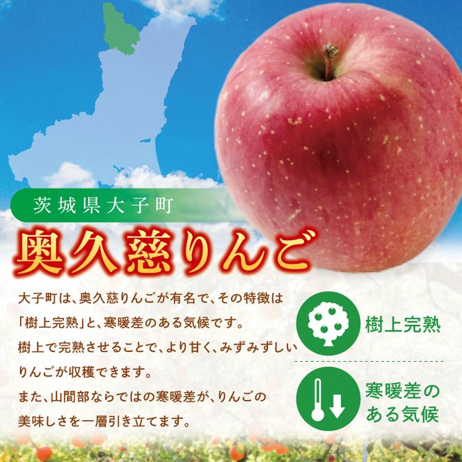 【数量限定】【三村観光りんご園】【10月より順次発送予定】樹上完熟！奥久慈りんご＆贅沢ジュース（品種おまかせ約2kg＆720ml×1本）｜茨城県 大子町 林檎 旬 果物 フルーツ 果実 果汁 飲料 セット 詰合せ ギフト 贈答(BX008)