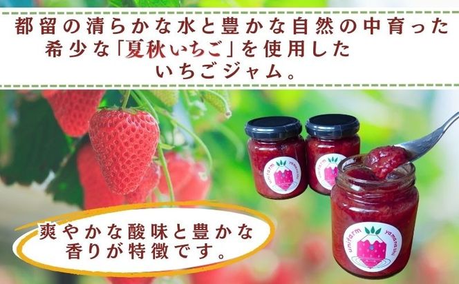 都留の清らかな水に育まれた希少な夏秋いちご使用 いちごジャム BB024