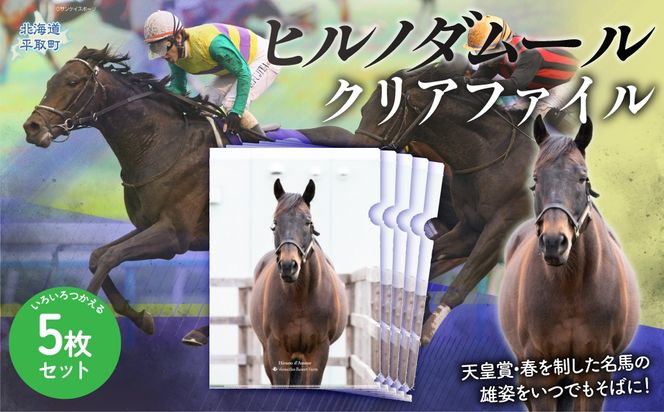 【ヒルノダムール】クリアファイル 写真5枚入り BRTV303