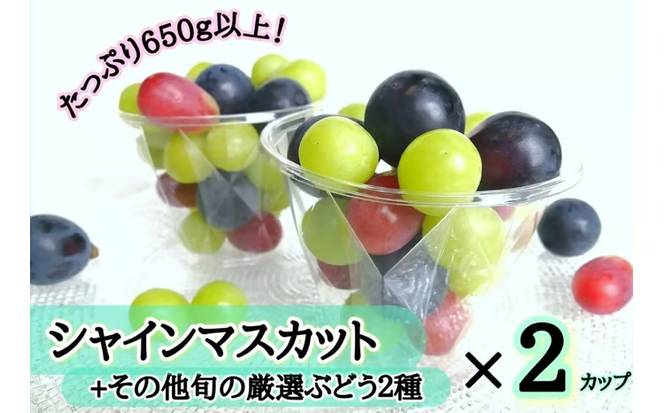 ※2026年の予約です！※【産地直送】フルーツ王国岡山！シャインマスカット入りぶどう粒カップ×２ / 岡山 真庭 シャインマスカット 食べ比べ 葡萄 ブドウ ぶどう 新鮮 果物 フルーツ 人気 数量限定 粒切 食べやすい ギフト ぶどう専門 林ファミリー (2026年9月～発送予定) 【hfbd002-02】