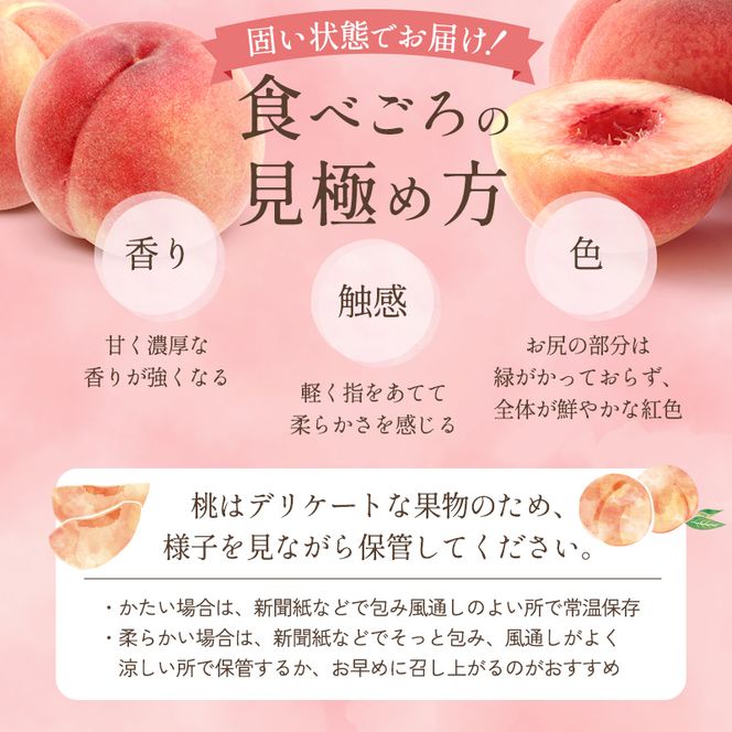 【オンライン決済限定】【2026年8月中旬～発送予定】 先行予約 「浅間水蜜桃プレミアム」 もも なつっこ 秀品 約2kg 5～9玉 贈答品 ふるさと納税 果物 桃 フルーツ モモ 果肉  長野県産 小諸市 