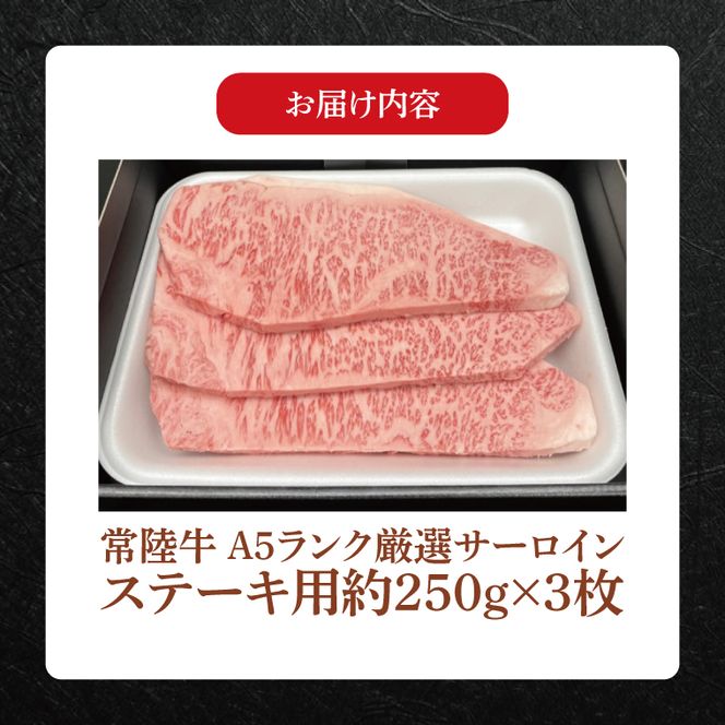 【常陸牛】肉の藤井商店 ～高級ステーキディナーセット～(茨城県共通返礼品)｜高級ステーキセット 特選ステーキ 高級牛肉 贅沢セット ギフトセット 食べ比べセット お中元 お歳暮 国産 牛肉 肉 お肉 最高級A5ランク ブランド牛 贈答 化粧箱 黒毛和牛 和牛 国産黒毛和牛 国産牛 ディナーセット 贅沢ディナー ステーキ おすすめ(FL-27)