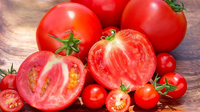 【 2026年 収穫分 先行予約 】 -太陽の味- 渋谷トマト 大玉トマト・ミニトマト詰め合わせ 約2kg 2026年1月5日～発送開始 トマト ミニトマト 茨城 産地直送 農家直送リコピン ビタミン 有機肥料 野菜 甘い 直売所 [EL04-NT]