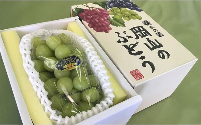 ぶどう 2026年 先行予約 シャインマスカット 晴王 1房 800g以上 ブドウ 葡萄 岡山県産 国産 フルーツ 果物 ギフト[№5735-3304]