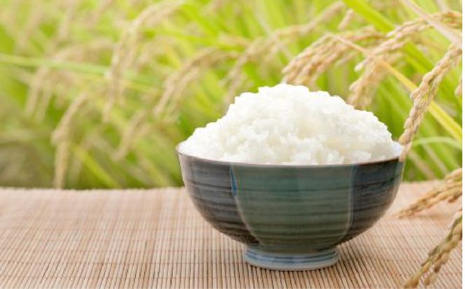 令和8年産 特別栽培米 あいがも農法でつくったひとめぼれ 20kg（5kg×4袋） | [カメイ 宮城県 加美町] お米 こめ コメ 精米 白米 特別栽培米 あいがも農法 | km-ag-hb20-r8