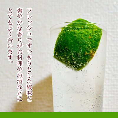 EA6044n_【2026年先行予約】綺麗な湧き水で育てた グリーンレモン 5kg (大小混合)