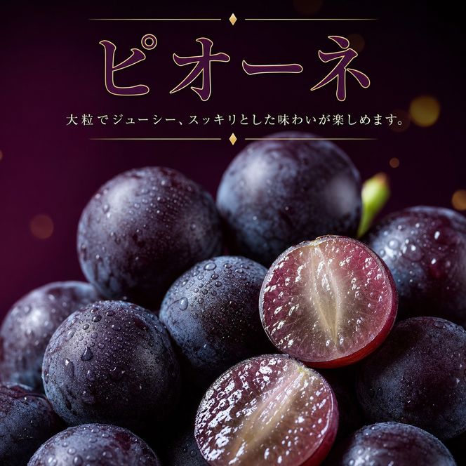 【7・8・10月 全3回】紀州和歌山産旬のフルーツセット（桃・ピオーネ・ひらたねなし柿）定期便 【魚鶴商店】【UT67】 303446_XF91136