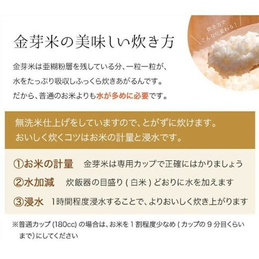 【 金芽米 】愛知県 美浜町産 にじのきらめき 5kg 無洗米｜きんめまい 米 お米 美浜町 糖質オフ BG無洗米 新米※北海道・沖縄・離島への配送不可