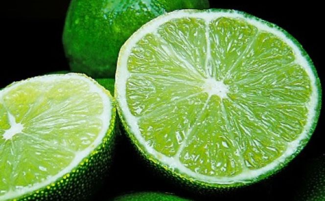 種なし スダチ 6号 鉢植え 苗木 すだち 