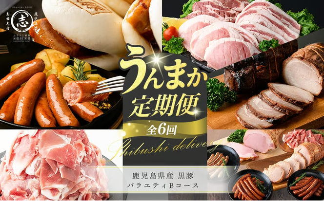 【定期便全6回】鹿児島県産 黒豚バラエティBコース！志布志うんまか定期便 t0105-006