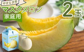 【令和8年3月発送開始】マスクメロン ２玉 家庭用 yr-0089