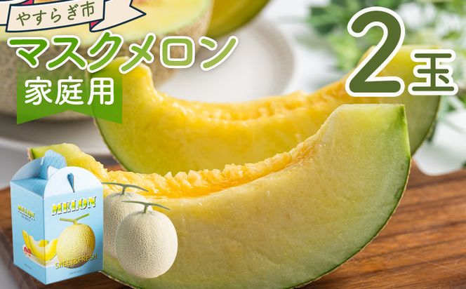 ymsz}XN Q ƒp yr-0089