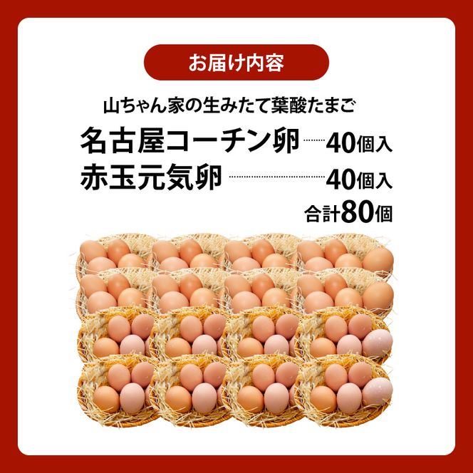 【山ちゃん家の生みたて葉酸たまご】名古屋コーチン卵・赤玉元気卵 食べ比べセット（各40個 合計80個入り）［132Y11］山ちゃん家 生みたて 葉酸たまご 名古屋コーチン卵 赤玉元気卵 食べ比べ セット 各 40個 合計 80個 入り 地鶏 卵 朝食 卵焼き 目玉焼き オムライス ゆでたまご 山田養鶏 お取り寄せ 愛知県 小牧市 送料無料