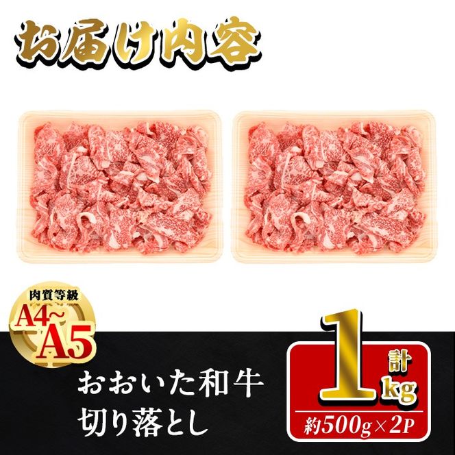 おおいた和牛 切り落とし (計1kg ・500g×2P) 国産 牛肉 肉 霜降り A4 A5 黒毛和牛 すき焼き しゃぶしゃぶ 焼肉 和牛 豊後牛 ブランド牛 冷凍【HE01】【(株)吉野】