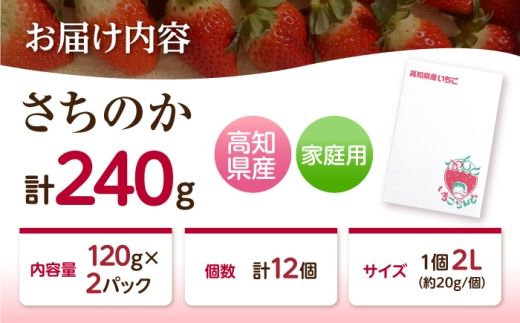 いちご さちのか 120g×2パック / 苺 果物 フルーツ 甘い 産地直送 冷蔵 人気 おすすめ 高知 土佐市 家庭用【松本いちごらんど】[BQDQ002] [BQDQ002]