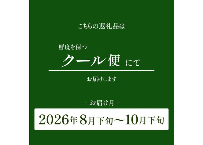 【2026年発送 先行予約】山梨県産 シャインマスカット 【選べる容量 1.2kg以上/3kg】期間限定 フルーツ 果物 山梨 富士吉田