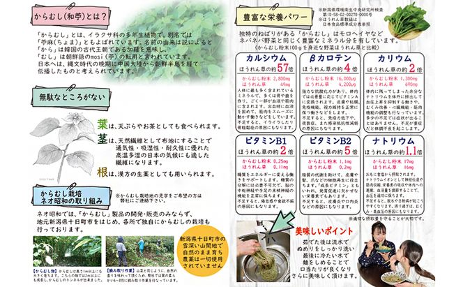 【豊富な栄養！】雪国越後十日町からむし麺（うどん）３束入りギフト（200g×3束） 乾麺 カラムシ 和苧 苧麻 麺類 新潟 