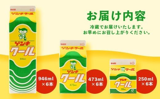 【ふるさと納税限定】ゲンキクールバリューセット【八重山ゲンキ乳業】【石垣島のソウルドリンク ゲンキクール】GN-1