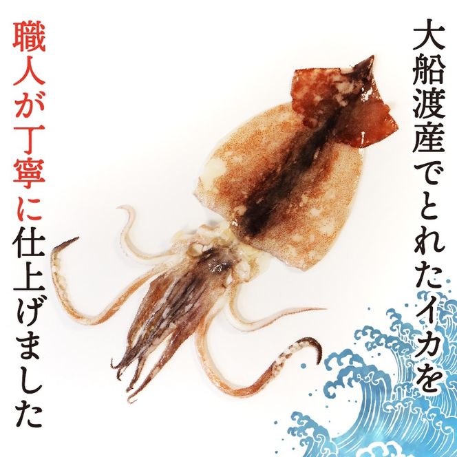 いか 一夜干し 大 6尾 いか イカ 烏賊 squid バーベキュー BBQ 炙り 炙り焼き 夕飯 おかず おつまみ 晩酌 海産物 海鮮 魚介 魚介類 大船渡 三陸 岩手県 国産[56500390_4]