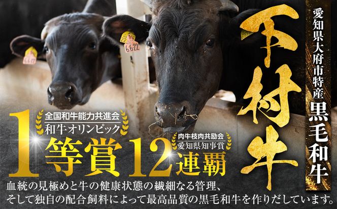 【期間・数量限定】大府市特産　A5黒毛和牛特選サーロイン塊肉　1.0kg 232238_N058