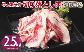 G3390 牛肉 切り落とし 塩麹漬け 合計2.5kg【味付け 小分け 焼くだけ 簡単調理 BBQ 牛肉 250g×10袋】