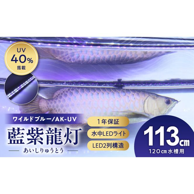 ymqszX&ϋv!AUV-A`bvz̐LED|AK-120UV-EXm172C15n  Chu[ Ǝ  Ai UV`bv Cg ejOCg LED Cg Ɩ Ɩ  Y KX 1Nۏ ȒP h z ݒu ł炢 C