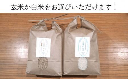 【 全3回 定期便 】 自然栽培 ヒノヒカリ 10kg 《糸島》【大石ファーム】 [ATE020]