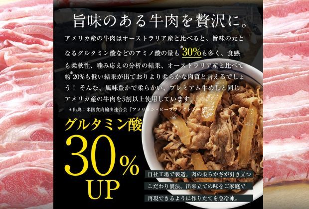牛丼 松屋 乳酸菌入 プレミアム仕様 牛めしの具 20個 冷凍 セット 冷凍食品 食品 惣菜 n1 