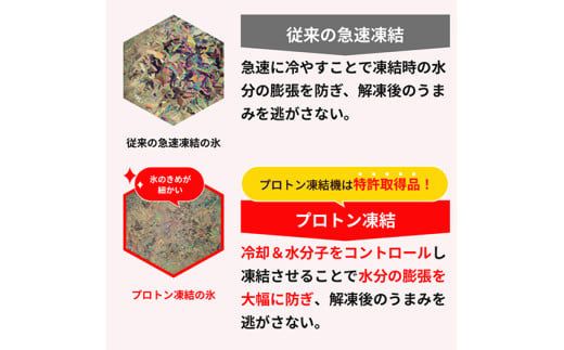 【1週間以内発送】数量限定　ホルモン屋が作った本気のもつ鍋セット　2回分　2～3人前【FO09W】