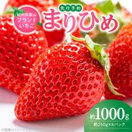 G7346_【2027年先行予約】 紀州和歌山ブランド いちご まりひめ 250g×4P