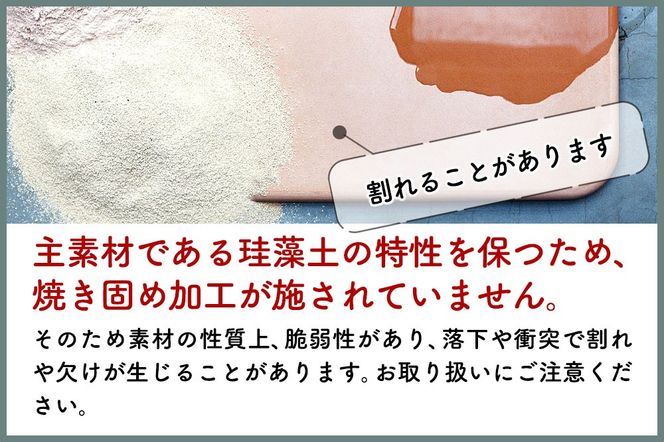 soil コースター ラージサイズ 2枚セット 【サークル・グリーン】日本製 ソイル 珪藻土 水滴 吸水 速乾 吸水コースター L シンプル 丸 丸型 アスベスト不使用|drlz-090101w