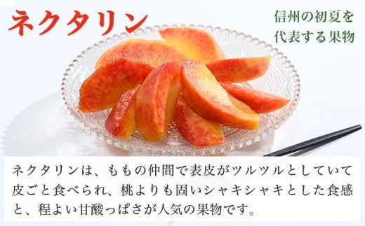 メイグランド 約2.6kg ［おぶせファーマーズ］ 果物 フルーツ ネクタリン 長野県産 信州産 令和7年産 【2025年7月中旬～8月上旬発送】［F-13］