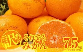 MK1049_2月28日終了！ 最短出荷すぐ届く！訳あり それでも みかん 箱込 7.5kg ( 内容量 6.8kg ) サイズミックス Ｂ品 有田みかん 和歌山県産 産地直送 家庭用【みかんの会】
