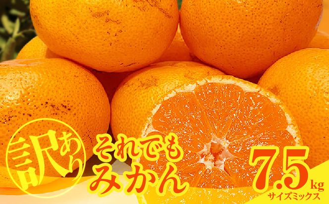 MK1049_【2026年先行予約】訳あり それでも みかん 箱込 7.5kg ( 内容量 6.8kg ) サイズミックス Ｂ品 有田みかん 和歌山県産 産地直送 家庭用【みかんの会】