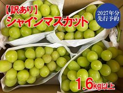 【2027年発送分 先行予約】【訳あり】シャインマスカット  1.6kg以上 (2～5房) 【8月下旬以降発送予定】 訳アリ 訳あり品 シャイン マスカット ぶどう ブドウ 葡萄 徳用 家庭用 ご家庭用 旬 新鮮 くだもの 果物 フルーツ 山梨 やまなし 富士川町
