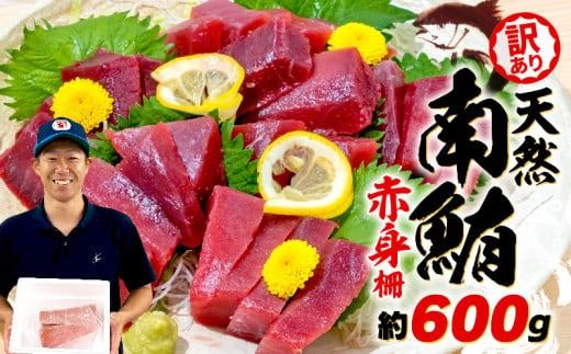 訳あり 天然 南マグロ 赤身 約600g 不定型柵 まぐろ [ PT0014-000005-X2 ]