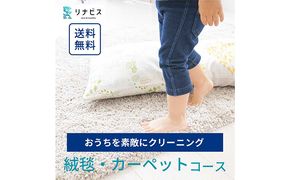 クリーニング 絨毯 クリーニングクーポン リナビス ラグ カーペット 玄関マット 電気カーペット 洗濯 防ダニ 高品質 せんたく便 宅配クリーニング チケット 券 サービス 静岡 静岡県 袋井市