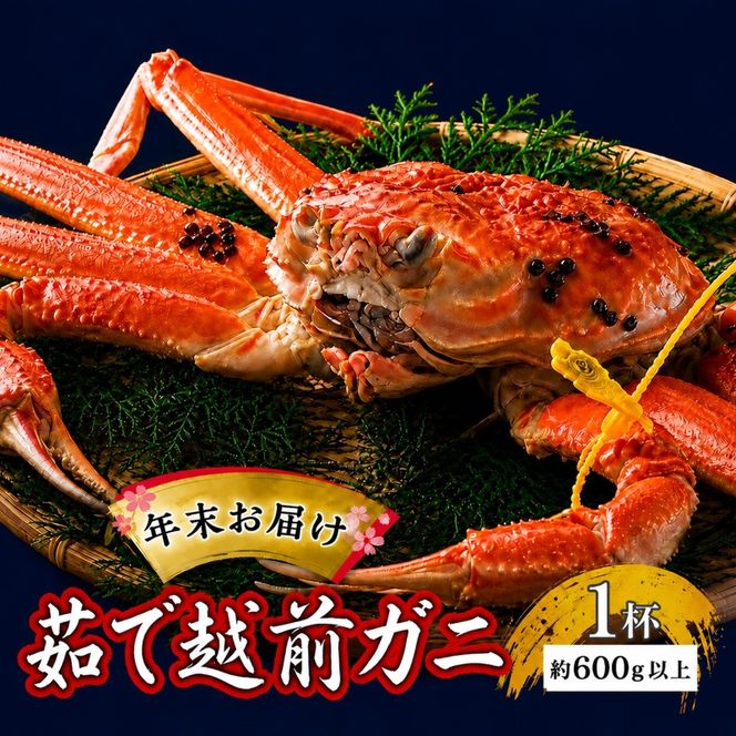かに 年末配送 茹で 越前がに 約600g以上 1杯 ずわい蟹 ボイルカニ ボイル 魚介類