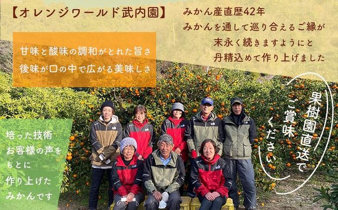 完熟 小粒 有田みかん 5kg 甘味凝縮 和歌山県産 産直45年 武内園 BA04 