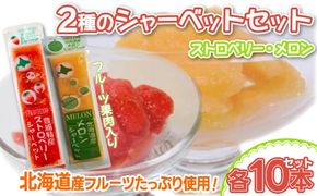 北海道 豊浦町 いちご・メロンのシャーベット 10本×2種 【 ふるさと納税 人気 おすすめ ランキング 果物 メロン めろん 果物 いちごイチゴ 苺 イチゴシャーベット メロンシャーベット 食べ比べ おいしい 美味しい 甘い 北海道 豊浦町 送料無料 】TYUN015