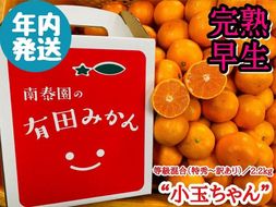年内発送 完熟早生 有田みかん 小玉ちゃん 等級混合 2.2 kg 和歌山 南泰園 みかん BS654
