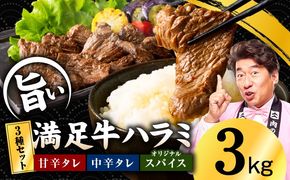 G5283 【満足牛ハラミ】3種セット （甘辛タレ漬け・中辛タレ漬け・オリジナルスパイス仕込み）  合計3kg 【スピード発送 味付け ハラミ 小分け 焼くだけ 簡単調理 BBQ 牛肉 250g×12P 普段使い】