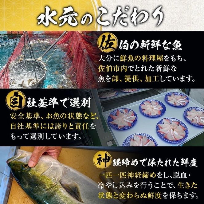 ＜訳あり＞地魚海鮮漬け丼の素 (計8食) アジ サバ マグロ カツオ タイ イカ ブリ カワハギ メジナ イサキ カンパチ ヒラメ 鮮魚 漬け丼 詰め合わせ 食べ比べ 冷凍 国産 大分県 佐伯市【GO013】【(株)水元】